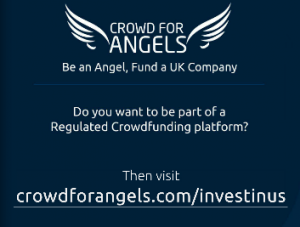 Crowd for Angels