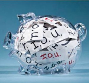 IOU pig