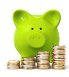 Savings Pig