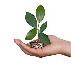 sprouting cash