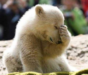 Bearish