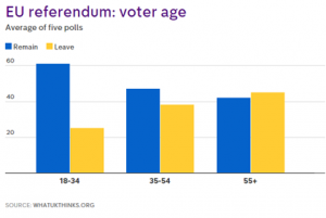 EU referendum voting