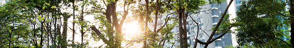 esg investing